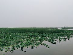 -苏州海洋馆