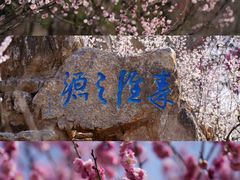 -梅花山(明孝陵内)