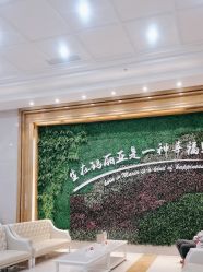 点击看大图 -玛丽亚妇产医院