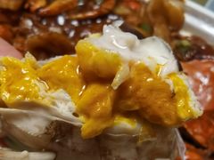 六月黄-黄记大闸蟹专卖店·活蟹·醉蟹
