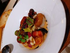 日本带子-Atto Primo