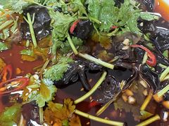 -翠景湾脆鱼轩·中山脆肉鲩(井岸17年老店)