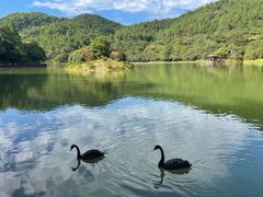 -广州白江湖森林公园