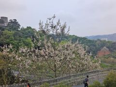 -福道