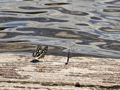 -楠溪江风景名胜区