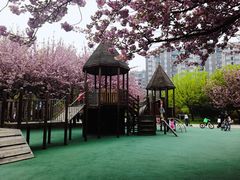 -唐城墙遗址公园