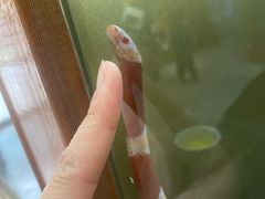 -上海大自然野生昆虫馆