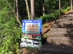 -广州白江湖森林公园