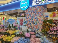 -盒马鲜生(皇庭广场店)