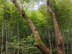 -黄公望隐居地