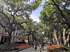 -星巴克臻选(广州沙面店)