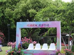 -大关公园
