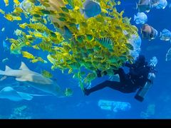 -太平洋海底世界