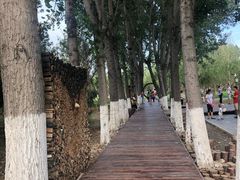 -回龙观体育文化公园