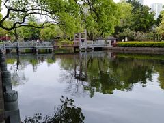 -月湖公园
