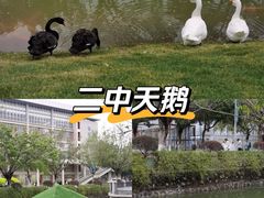 -广州市第二中学高中部(科学城校区)