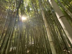 -横店影视城梦幻谷园区