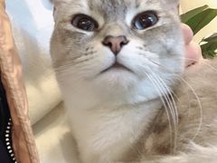 -脉冲品质汽美·贴膜(闵行店)