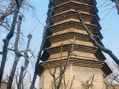 -正阳书局(西四南大街店)