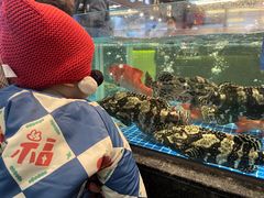 -东海怡品海鲜豆捞(舟宿夜江店)