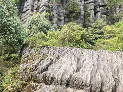 -梭布垭石林景区