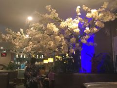 -北京花见餐饮管理有限公司