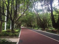 -南宁南湖公园
