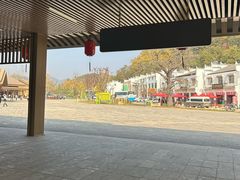 -千年银杏谷文化旅游区