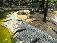 -石家庄市动物园