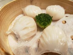 -陶陶居海鲜酒家(新马路店)