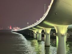 -演武大桥观景平台