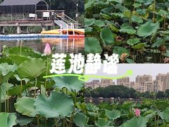 -南翔镇银翔湖公园