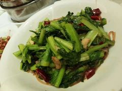 小白菜炒粉条-金春禧(世茂国际广场店)
