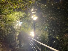 -大金鹰园