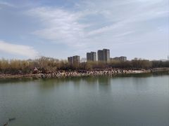 -大兴滨河森林公园