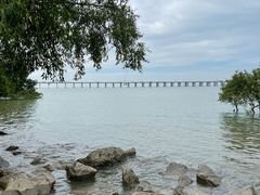 -宝安西湾红树林湿地公园