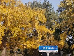 -八大关景区