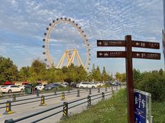 -日照海滨国家森林公园