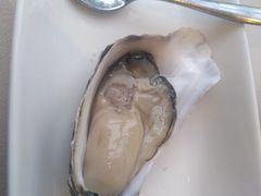 -Oyster Talks 四度蚝法餐厅