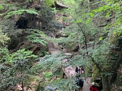 -藏龙百瀑风景区