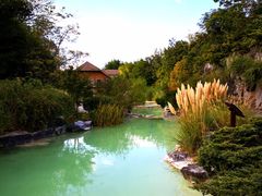 -吴淞炮台湾湿地森林公园烧烤区