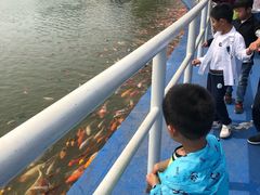 -北戴河圣蓝海洋公园