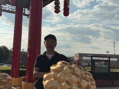 -特克斯八卦城