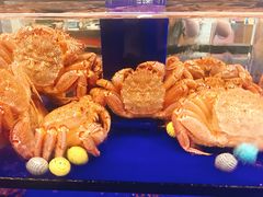 -蟹道乐(道顿堀本店)