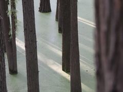 -青山湖景区