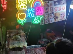 -中环花鸟鱼虫市场