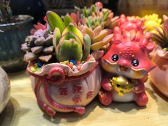 -花鸟鱼虫鲜花绿植市场(玉泉路店)