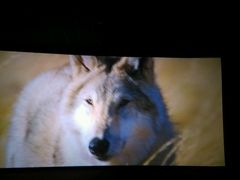 android_upload_pic-UME影城(安贞DTS:X店)