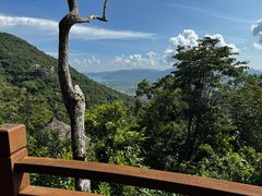 -三亚亚龙湾人间天堂鸟巢度假村