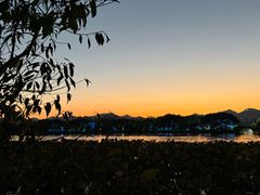 -楼外楼(西湖景区孤山路店)